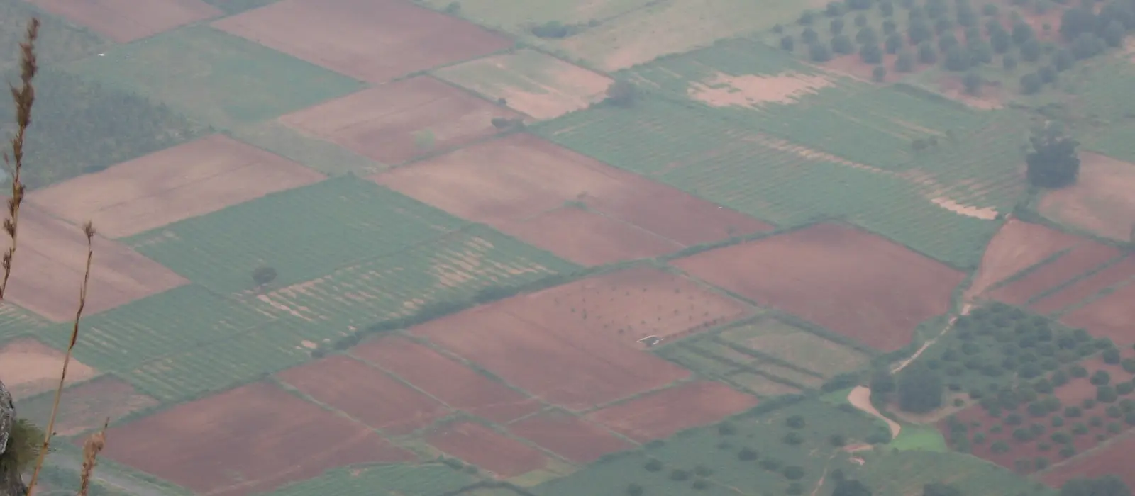 An elevated view over a patchwork of farmland plots